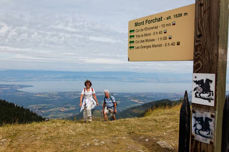 Randonnée "Le Mont Forchat" depuis Habère-Poche image2