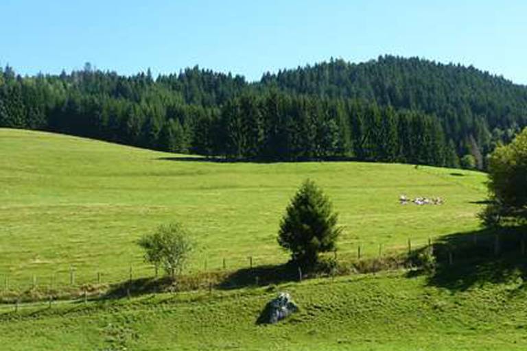 "Les Chalets de Trécout" Hike image1