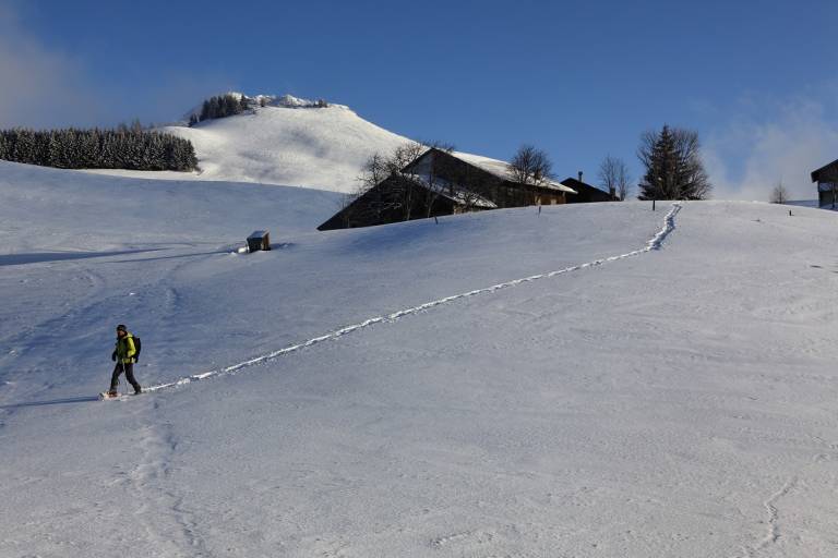 "Col de la Balme" Snowshoe Trek image1