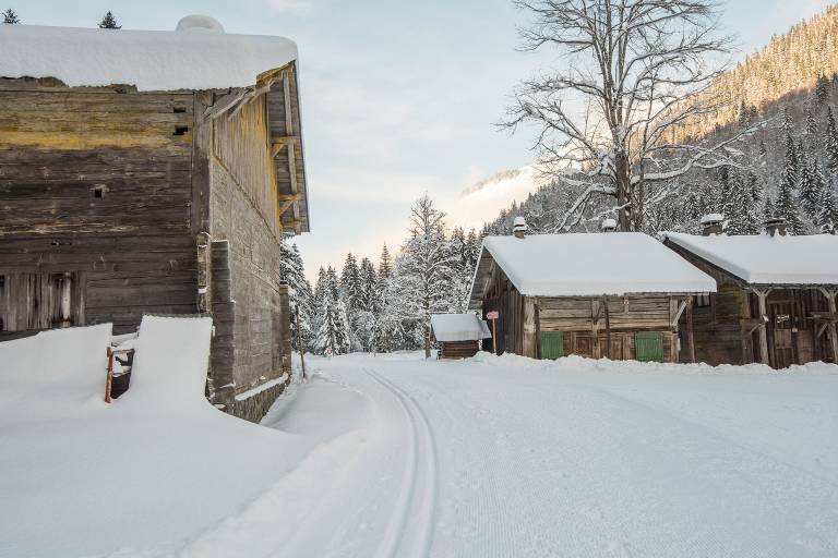 Cross country skiing at Montriond image1