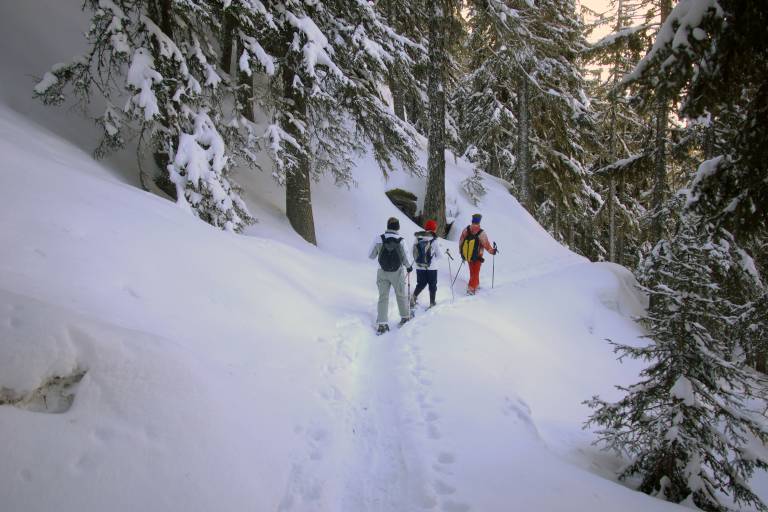 Itinerary for snowshoeing: the Drains image1