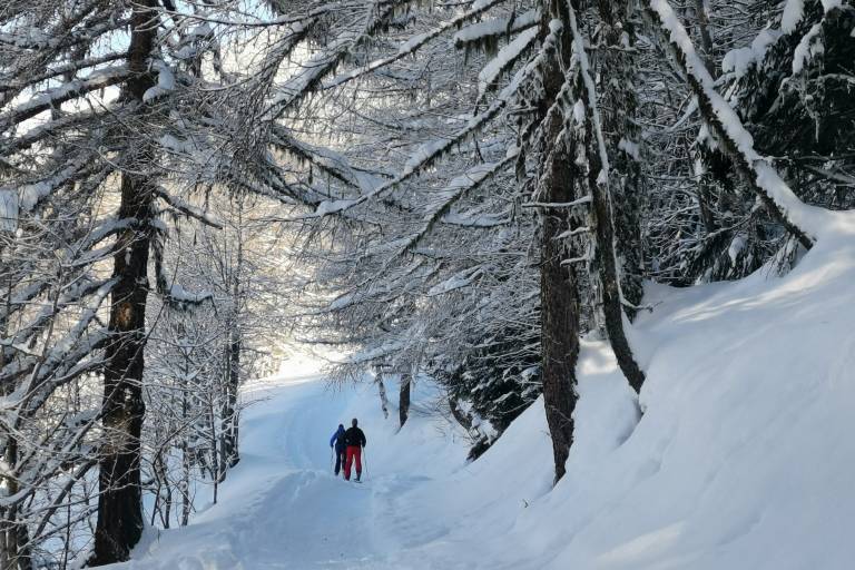 Itinerary for snowshoeing: la Mazure (black) image1