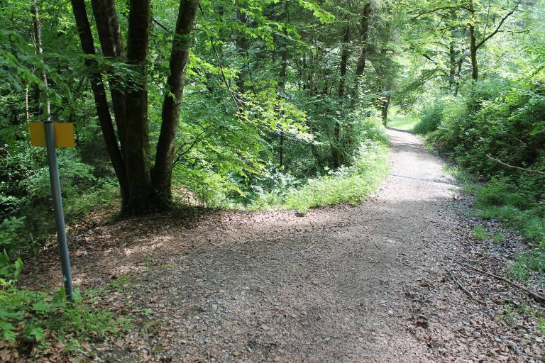 Lescheraines mountain bike loop - Cascade du Pissieu image1