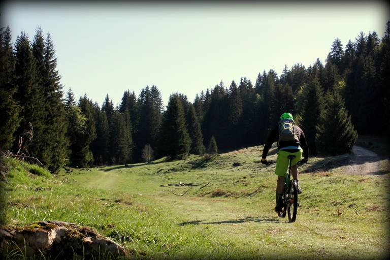 Piste VTT FFC bleue 4 - La Féclaz image1