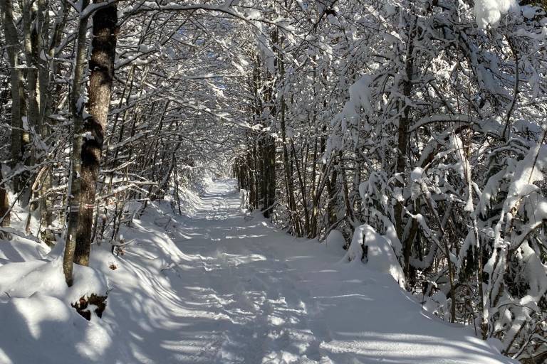 La Grande Traversée image2