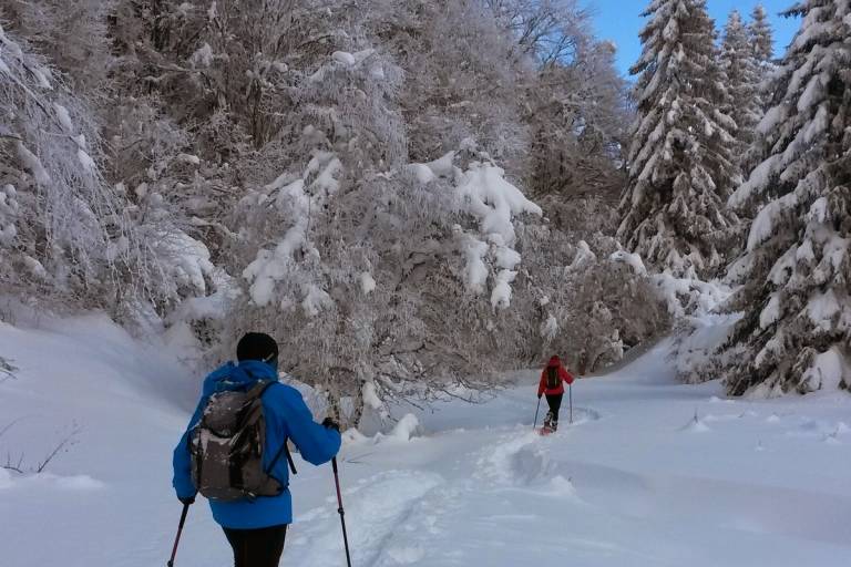 Snowshoeing treks : Le creux de Lachat image1