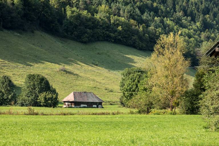 Le mont d'Armenaz image1