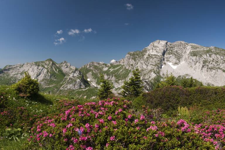 La Pointe de Chaurionde image2