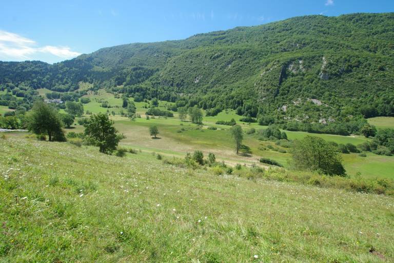 Le marais de Nécuidet image1