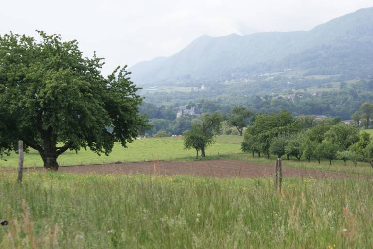 Le marais de Pré Lombard image1