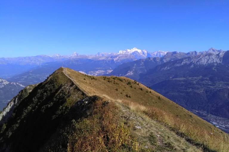 Sentier de randonnée - Le Môle depuis La Tour image1