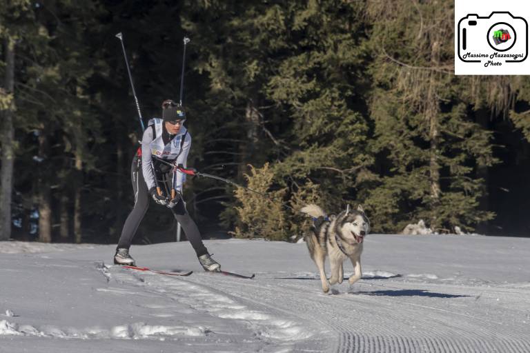 Piste de Ski-Joëring image2