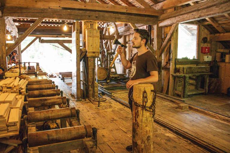 Visite de l'Ecomusée et de son ancienne scierie image1