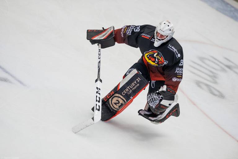 Match d'exhibition de Hockey sur glace image2