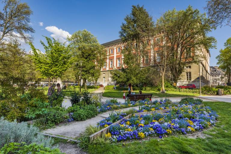 Visite flash - Regard sur le Jardin du Verney image1