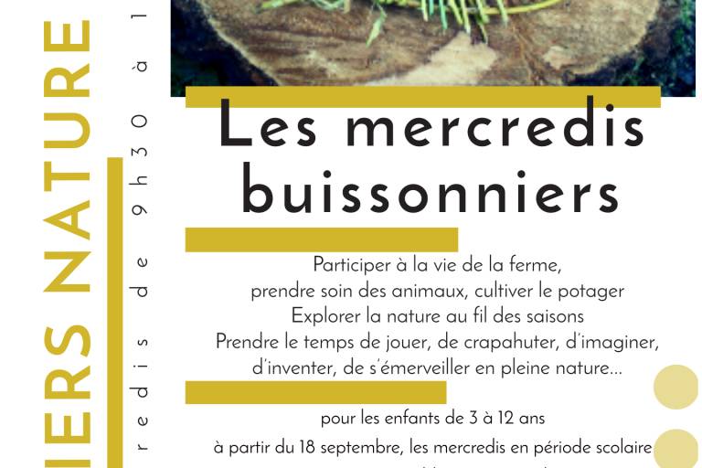 Les mercredis buissonniers image1