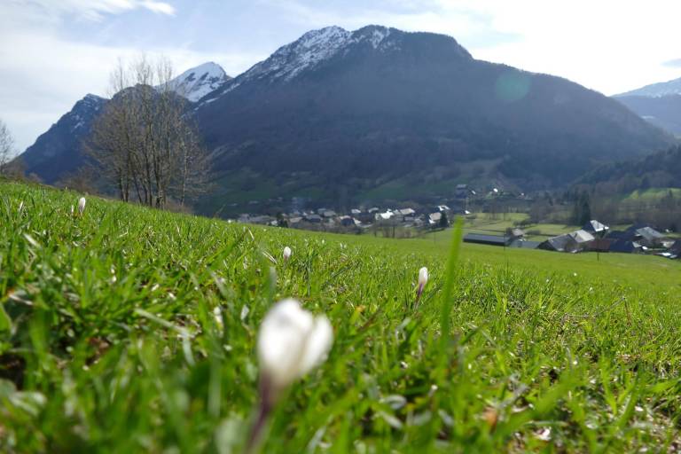 Jeu de piste "La fée du vent" image1