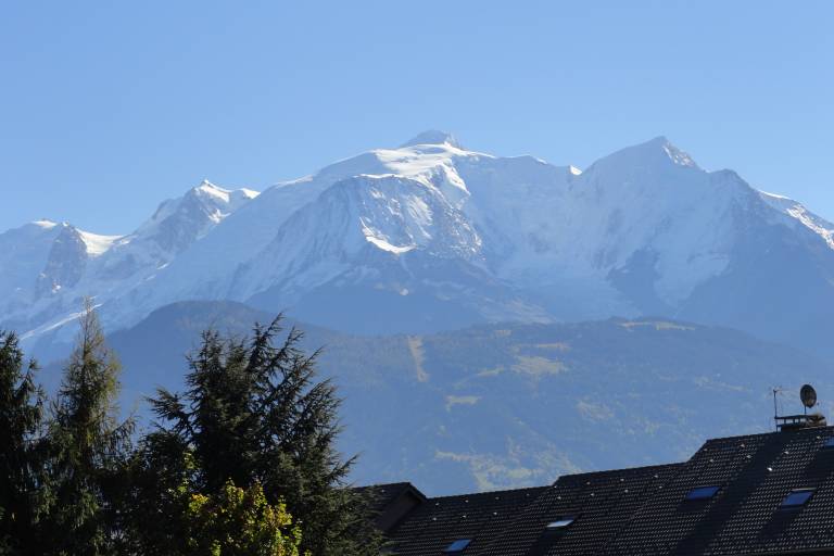 Le Patio du Mont-Blanc image2