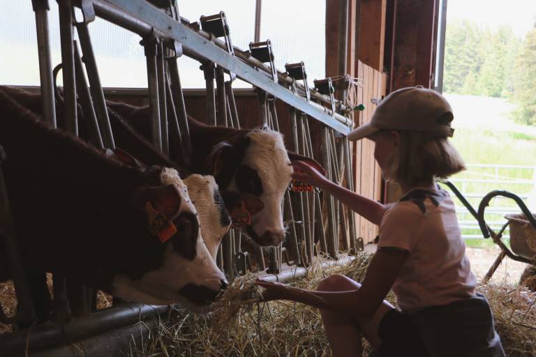 Shop of the Seraussaix farm image2