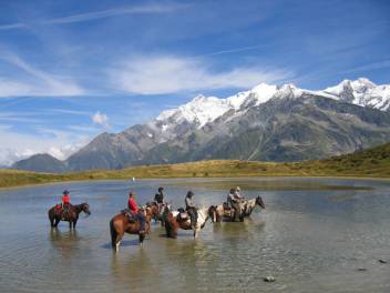 image Les Écuries d'Antan: Horse Riding Centre + services/activities/1207/71798