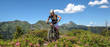image Guided mountain bike tours Évolution 2 + services/activities/12699/9498302