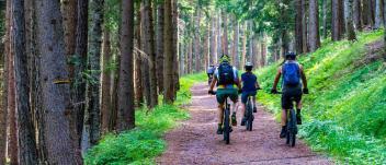 image Accompanied mountain bike outings Rustine Bike School + services/activities/12700/9499248