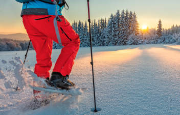 image Snowshoe walk with bureau des guides + services/activities/18331/20000681