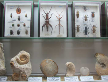 image Museum d'Histoire Naturelle + services/activities/4609/12300695