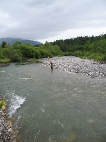 image Parcours Pêche de Savoie « Prendre et relâcher » sur le Chéran et le Nant d’Aillon à leur confluence + services/activities/4941/8335545