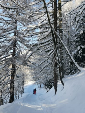 image Itinerary for snowshoeing : Mazure - Miroir