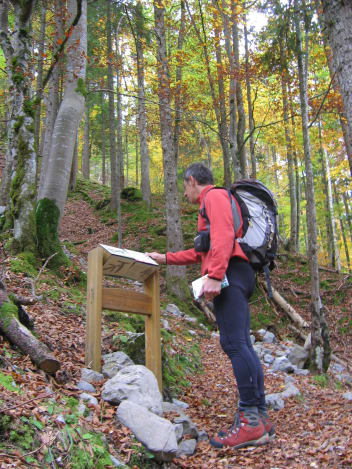 image Sentier découverte du vallon de Bellevaux + services/activity_routes/4930/7569557