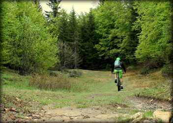 image Piste VTT FFC verte 1 - La Féclaz + services/activity_routes/5294/4250195