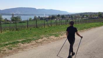 image Nordic Walking + services/events/21152/1452701