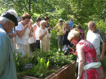 image Visite libre du jardin de l'Herbier de la Clappe + services/events/5531/4323454