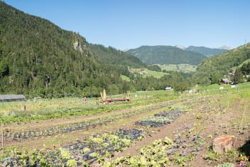 image Les jardins de l'Abbaye + services/producers/13635/17877327