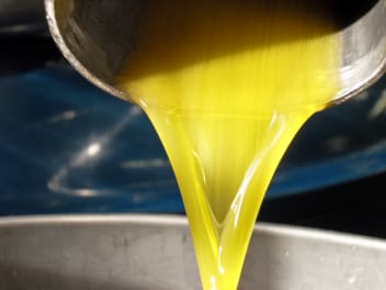 image Saint Côme Olive oil Mill + services/producers/9172/8358648