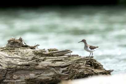 Exposition Photosensibles