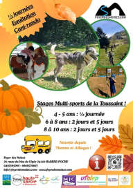 Stage 5 jours multisports 6/10 ans - vacances d'automne