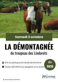 The descent of the Lindarets herd