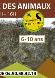 Les P'tits Experts de la Nature® - Le P'tit cache-cache des animaux