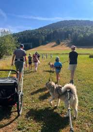 Activités chiens nordiques sur le plateau des Moises