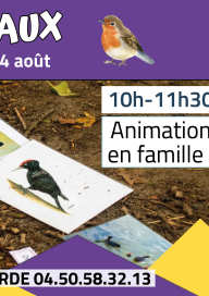 Enquêtes biodiversité : Jeux d'oiseaux