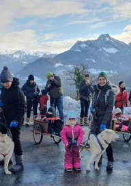 Distribution of dog sled papillottes