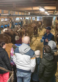 Visite à la ferme et traite des vaches