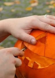 Make your own pumpkin workshop