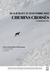 Exposition "Chemins Croisés", Gaspard Buttin
