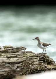 Exposition Photosensibles
