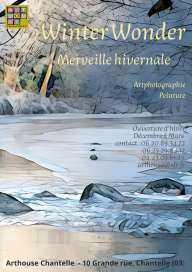 WINTER WONDER - Merveille hivernale
