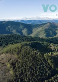 Volcan Bulles d'Ardèche : Randonnée autour du volcan & visite de la source et de la production d'eau minérale gazeuse