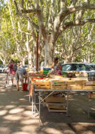 Farmers market